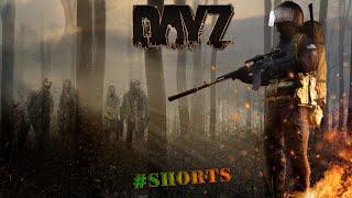 Dayz  Выжить на харде  #shorts