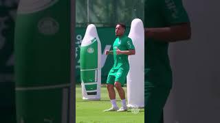 PALMEIRAS: A CAVADINHA DO VITOR ROQUE TÁ EM DIA!