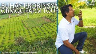 Goma At Home : Ormoc Farm Tour