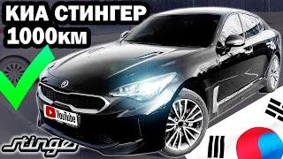 Почему НОВЫЙ КИА Стингер лучше, чем новая КИА ОПТИМА 2020?