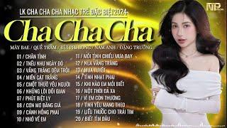 Siêu Phẩm Cha Cha Cha Rumba Nhạc Trẻ 2024 - Chân Tình - Album Cha Cha Cha Nhạc Trẻ Hot Nhất Tiktok