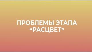 Расцвет - Жизненные циклы организации по Адизесу