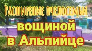 Как легко и быстро расширять вощиной Альпийский улей? Засев матки Карника.