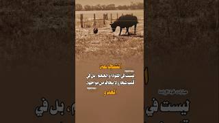 الشجاعة ليست في القوة  أو الحجم بل في قلب ️ شجاع لا يخاف من مواجهة العدو 
