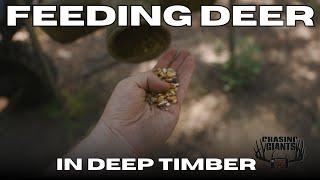 Chasing Giants TV - Supplemental Deer Feeding in Deep Timber | Real World Wildlife Products