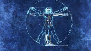 Reengineering the anatomy of the "Vitruvian Man"