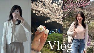 약대생 vlog | 대학생과 직장인 그 사이 | 봄 맞이 외대, 창덕궁 꽃구경 | 카공, 과외, 갓생브이로그 | 출근룩 | univlog