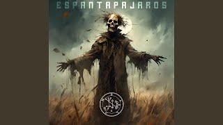 ESPANTAPAJAROS