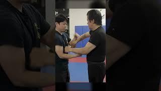 Focus on Elbow Positions | Wing Chun Chi Sao #wingchun #kungfu