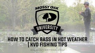 How To Catch Bass In Hot Weather | KVD Fishing Tips