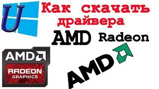 Как скачать драйвера видеокарты AMD Radeon | обновить драйвера видеокарты AMD