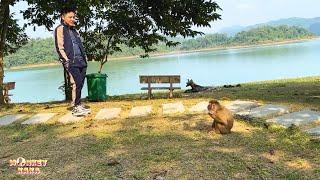 The moments dad met Monkey Kaka again were unforgettable.