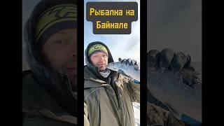 Зимняя рыбалка на Байкале: проверяю клёв!