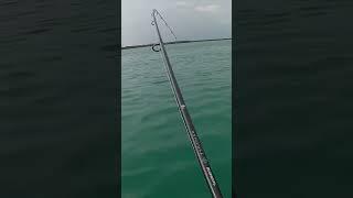 fishing amazing best compilation video Baliq ovi рыбалка Baliq ovi рыбалка