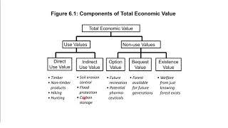 Ch 6 Part 2: Economic Values | ECON 22 - Environmental Economics