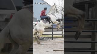 Had to join in on this trend  #shorts #horseshorts #equestrian #horsefail #rearing #ottb #horse