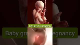 Fetal development in pregnancy