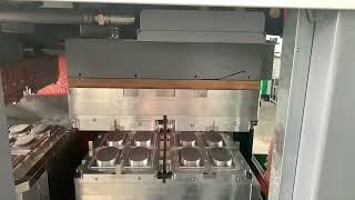 Hanson pulp molding tableware package machine for electronic tray