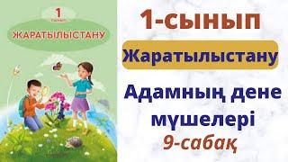 Бастауыш сабақтары. Жаратылыстану 1-сынып.   Адамның дене  мүшелері. 9-сабақ.