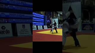 Дзюдо-Иппон