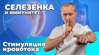 Селезенка! Рефлекторная стимуляция кровотока!