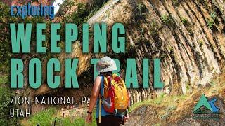 Weeping Rock Trail | Walk Under the Dripping Water | Zion NP, Utah