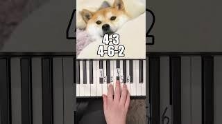 Morning Alarm Piano Tutorial #shorts