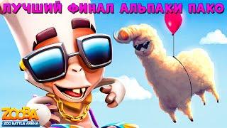 ФИНАЛОЧКА РЕЙТИНГА!!! ЛУЧШИЙ БОЙ ЗА АЛЬПАКУ ПАКО В КОНЦЕ ВИДЕО В ИГРЕ ZOOBA