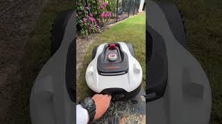 2 Week UPDATE SUNSEEKER ROBOT LAWN MOWER #kevinnadeau #lawncare #roboticlawnmower