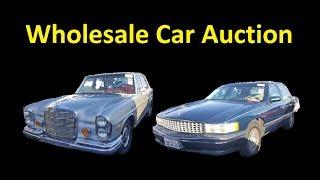 Dealer Auto Auction Cars for Sale Wholesale Used Car Buying Tips