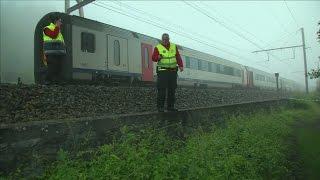 Three killed and nine injured during tragic train crash in Belgium