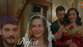 Reyyan & Miran - Perfect