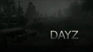 DayZ