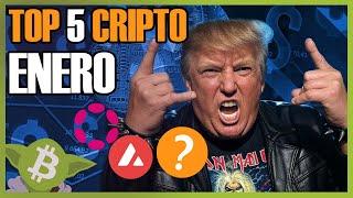 MEJORES 5 Criptomonedas para INVERTIR en ENERO 2025 - CryptoYoda –