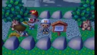 Animal Crossing:City Folk-Epic Race