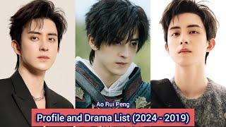 Ao Rui Peng 敖瑞鹏 (Hero Is Back) | Profile and Drama List (2024 - 2019) |