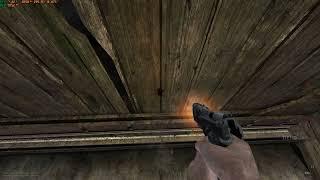 Stalker Anomaly Beretta pistols CW