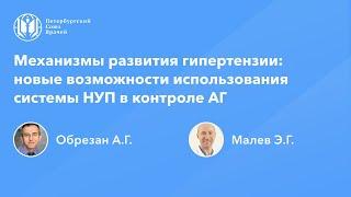 Механизмы гипертензии: новые возможности системы натрийуретических пептидов в контроле АГ