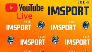 Созвездие (Владимир) - СШ Выбор (Одинцово), IMSPORT - Территория футбола