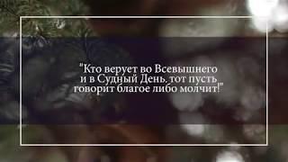 Случай, когда лучше промолчать... I Ильдар Аляутдинов