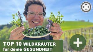 DIE TOP 10 WILDKRÄUTER und HEILKRÄUTER in deinem Garten - SEHEN UND ERKENNEN