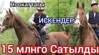 ИСКЕНДЕР КАНЧАГА  САТЫЛДЫ ТОЛУК  МААЛЫМАТ