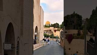 Amazing Old City of Jerusalem Overlooking towards Temple Mount. #Israel #Jerusalem #travel