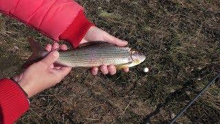 Рыбалка на хариуса, на р.Бурея в октябре. Fishing for grayling.