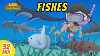 Fishes Minisode Compilation  Leo the Wildlife Ranger | Wildlife Show | Kids Cartoons