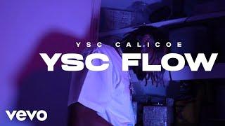 Ysc Calicoe, Moneyseason 3rd - Y$C Flow (Official Music Video)