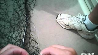 four banger  Lake Erie Pa Walleye Fishing Charters on the Small Program