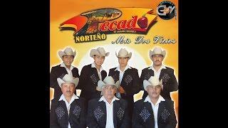 Pecado Norteno - La Burbuja