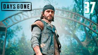 DAYS GONE ►ЖИЗНЬ ПОСЛЕ # 37 - ПУТЬ К 100% ! (прохождение)