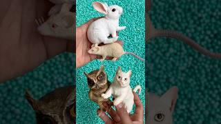 owl, mouse, rabbit